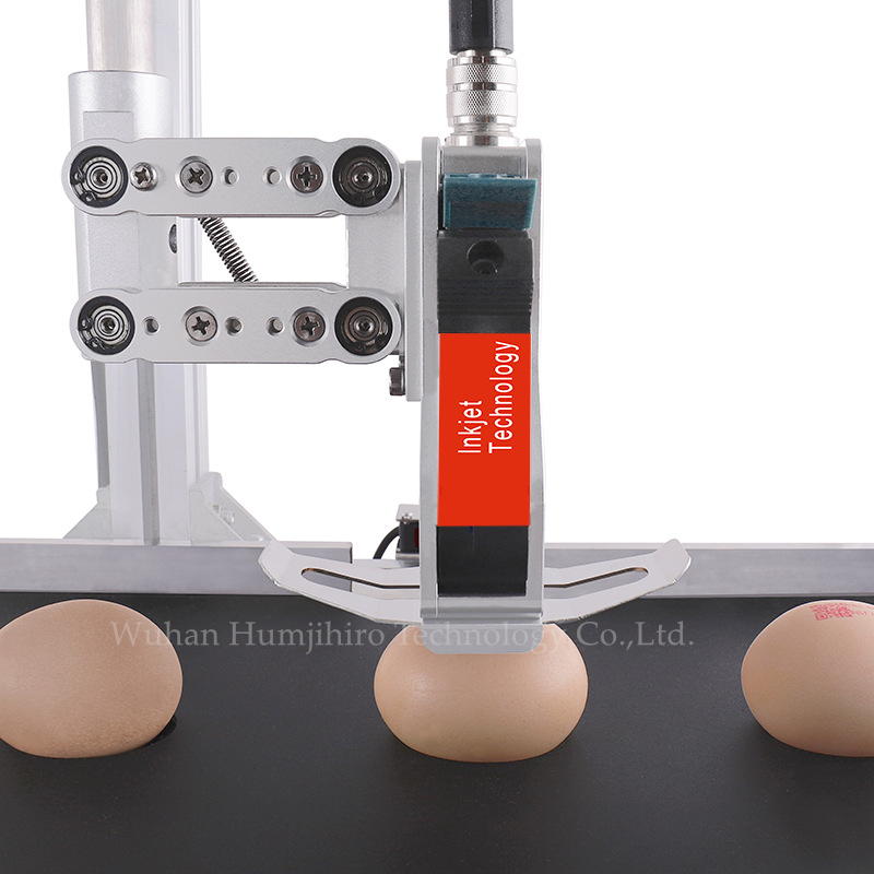 잉크젯 프린터 QR 코드 인쇄 계란 오리 계란 배치 번 - Commercial Printing Products 리뷰 및 가격