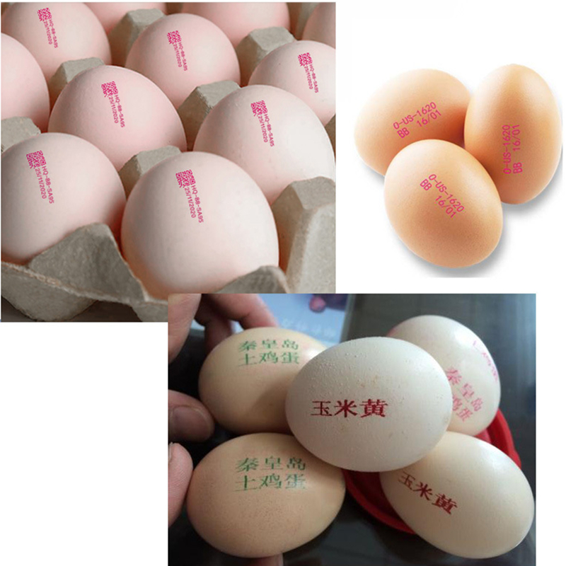잉크젯 프린터 QR 코드 인쇄 계란 오리 계란 배치 번 - Commercial Printing Products 리뷰 및 가격